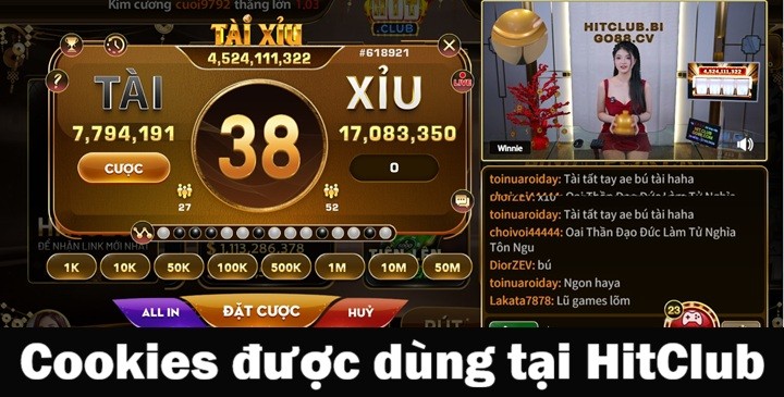 Các loại Cookies đang được Hitclub sử dụng